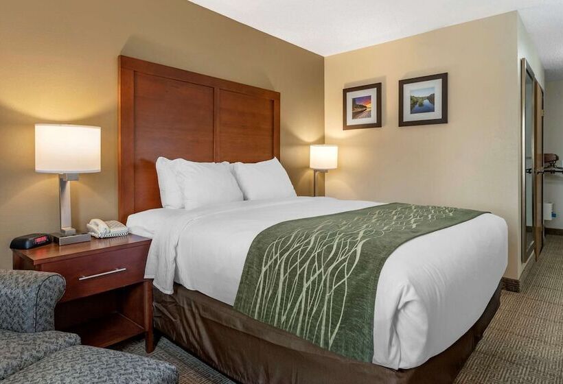 호텔 Comfort Inn & Suites Dimondale   Lansing