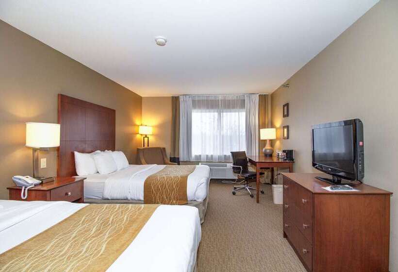 فندق Comfort Inn & Suites East Moline Near I 80