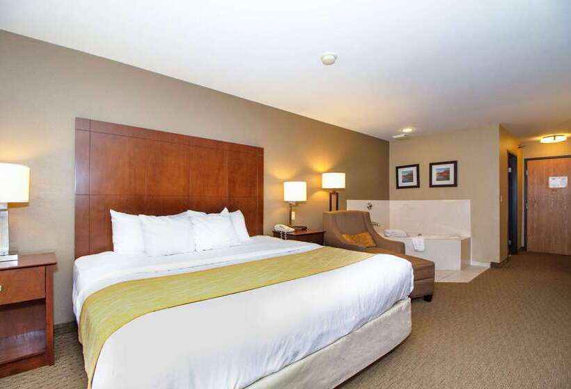 فندق Comfort Inn & Suites East Moline Near I 80