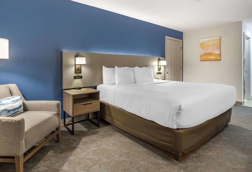 酒店 Comfort Inn & Suites