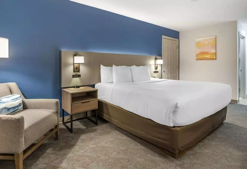 Otel Comfort Inn & Suites