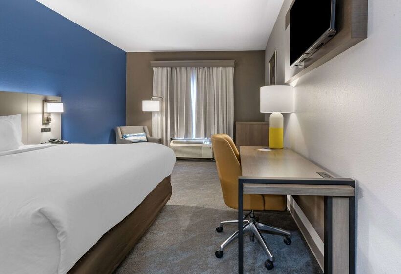 酒店 Comfort Inn & Suites