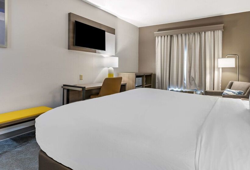 酒店 Comfort Inn & Suites