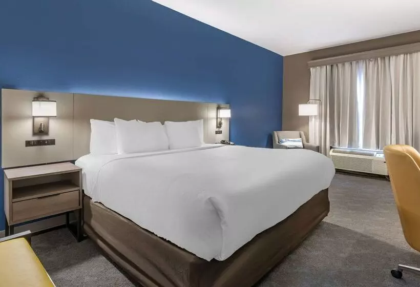 Otel Comfort Inn & Suites