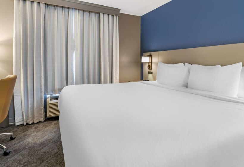 酒店 Comfort Inn & Suites