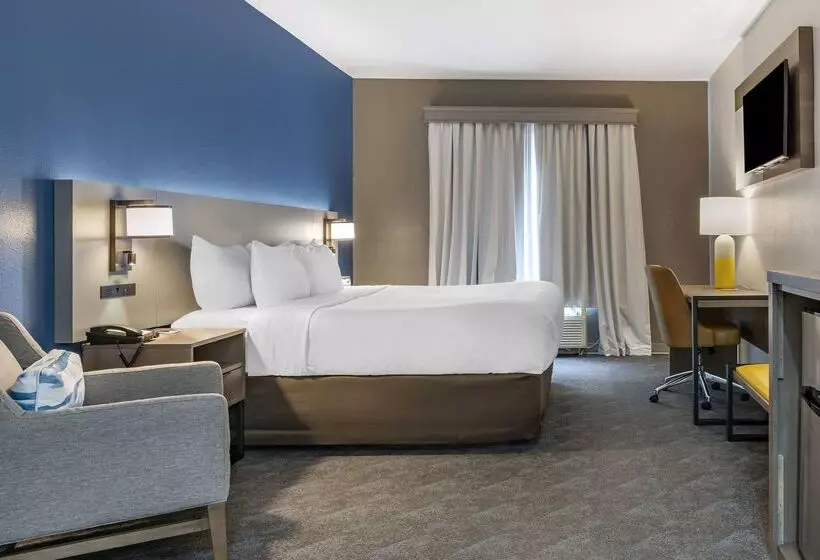 Otel Comfort Inn & Suites