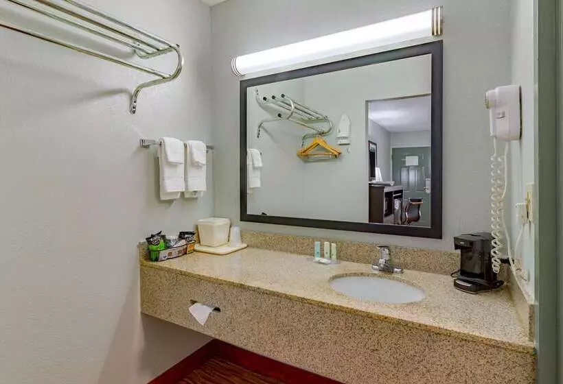 ホテル Quality Inn