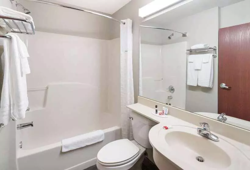 Microtel Inn & Suites Columbus North