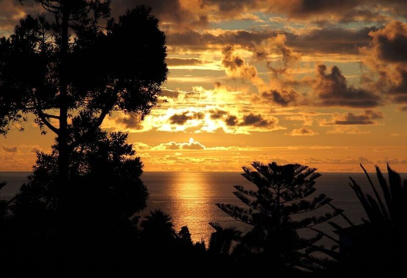 Canico Bay Apartments