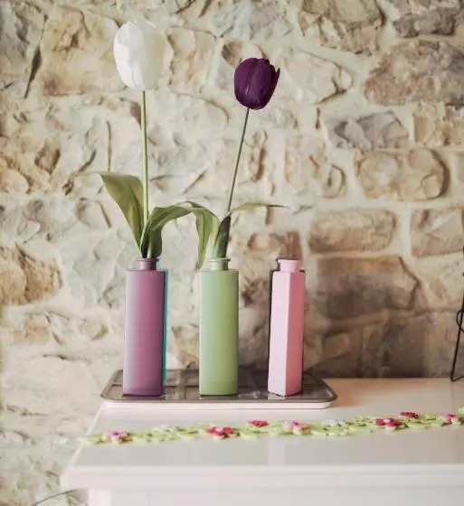 בית מלון כפרי Elite