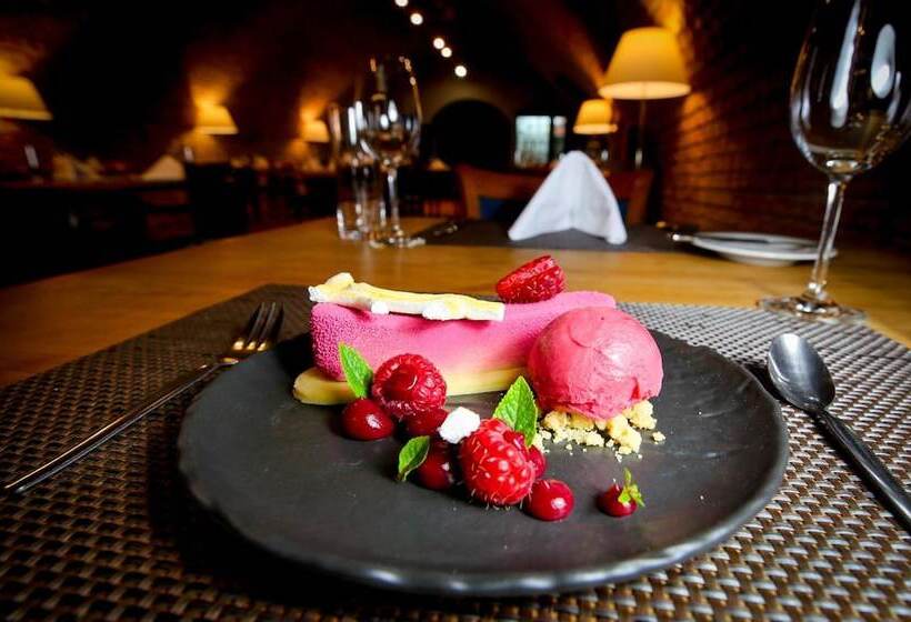 Lh Hotel Dvořák Tábor Congress & Wellness