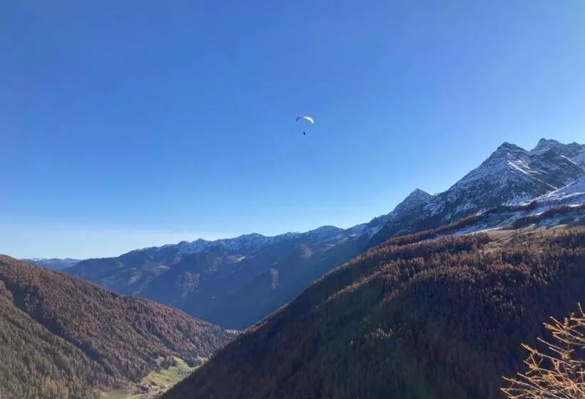 ベッドアンドブレックファースト Cafe Schneider