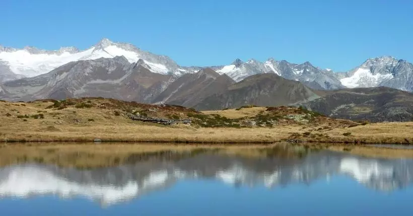 ベッドアンドブレックファースト Cafe Schneider