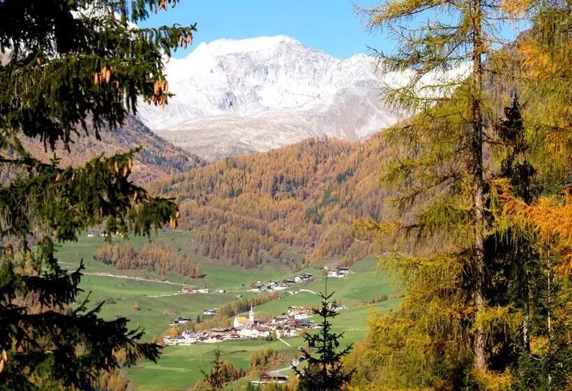 ベッドアンドブレックファースト Cafe Schneider