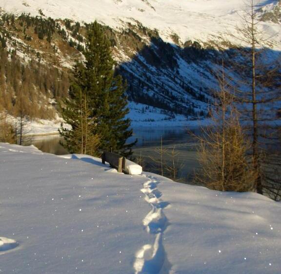 Bed and Breakfast Cafe Schneider