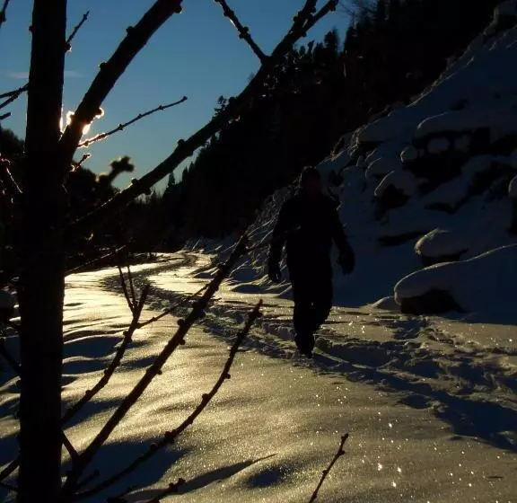 ベッドアンドブレックファースト Cafe Schneider