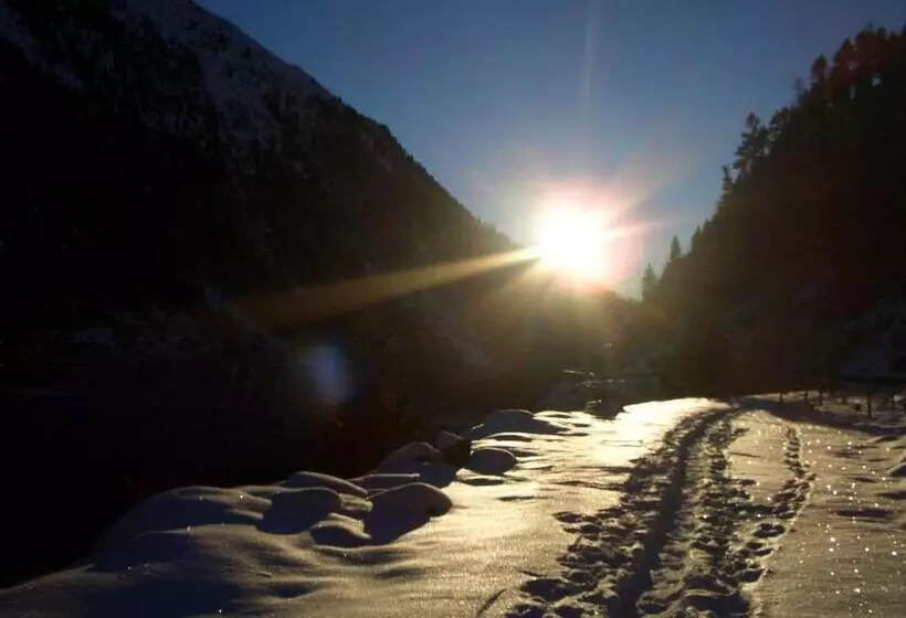 ベッドアンドブレックファースト Cafe Schneider