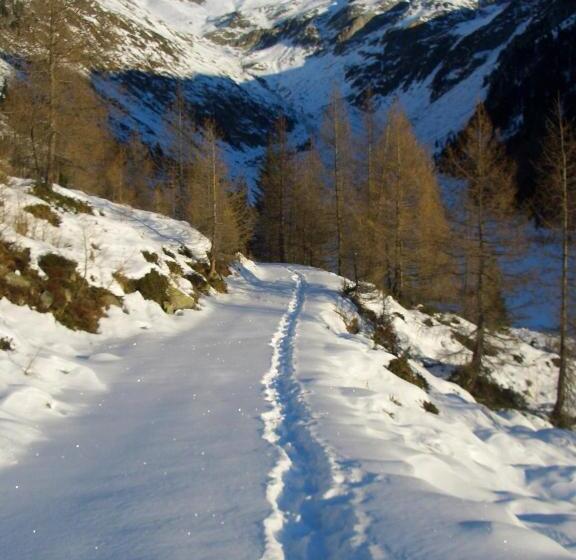 Bed and Breakfast Cafe Schneider