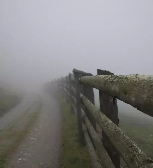 ベッドアンドブレックファースト Cafe Schneider