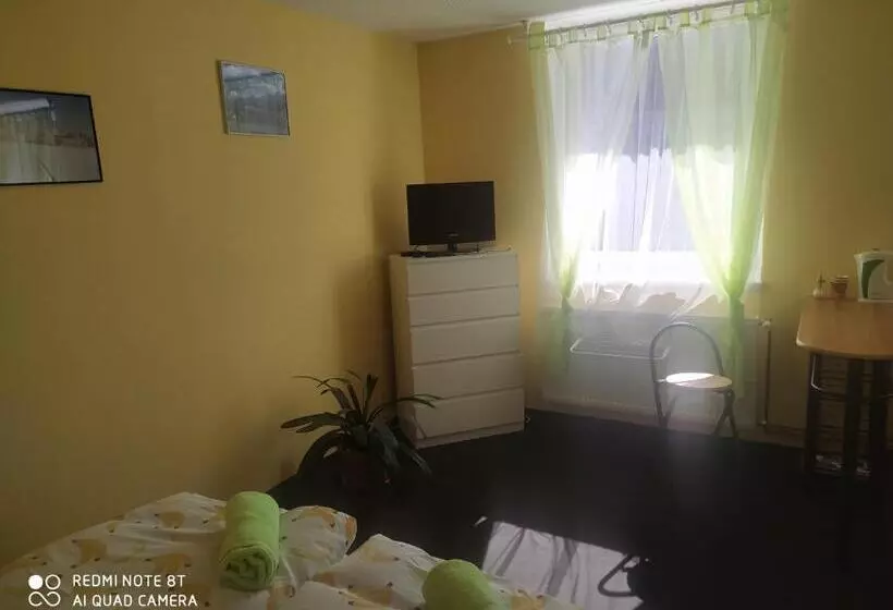 پانسیون Wellness Penzion Triola