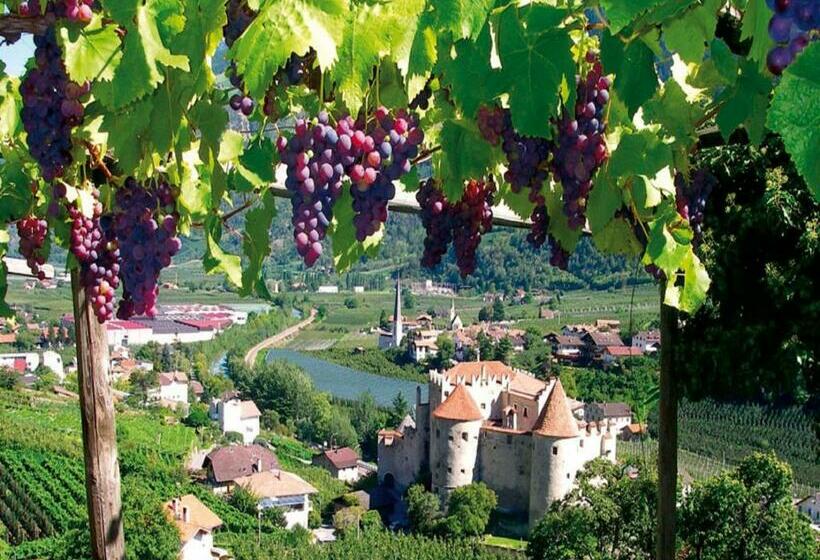 Pension Apartments Pardell