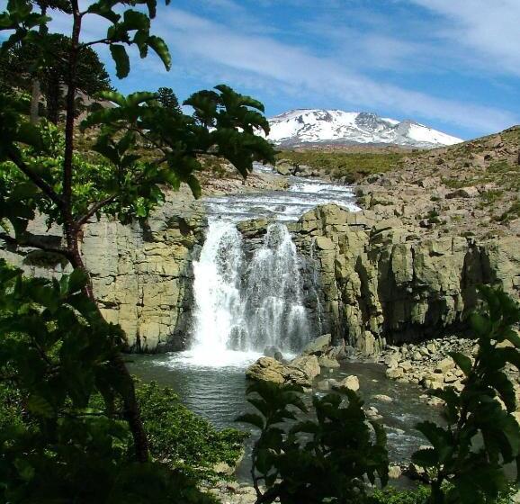 Hostel Hosteria Del Sauquen