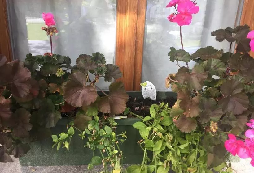 Hotelli Chalet Prà Delle Nasse