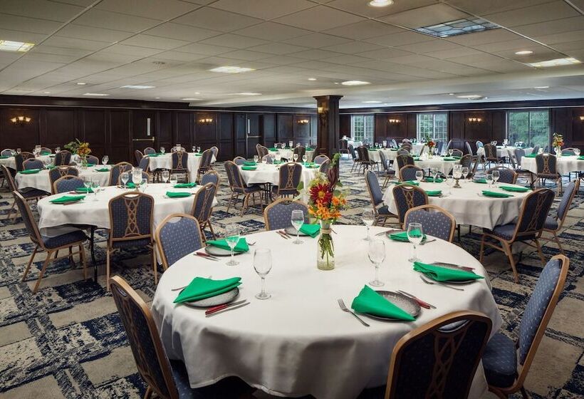 فندق Irish Cottage Inn & Suites