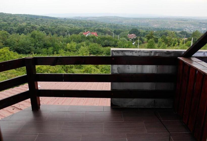 هتل Pensiunea Taverna Bucium