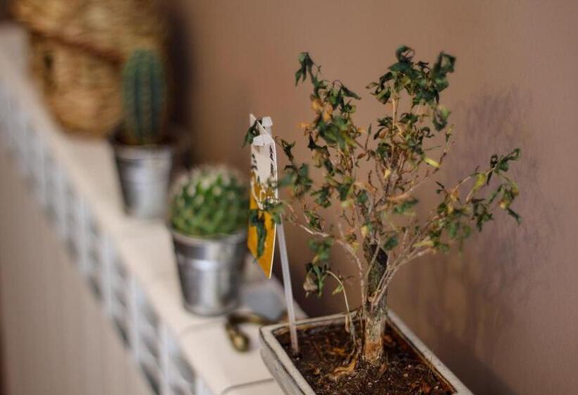 هتل Pensiunea Taverna Bucium