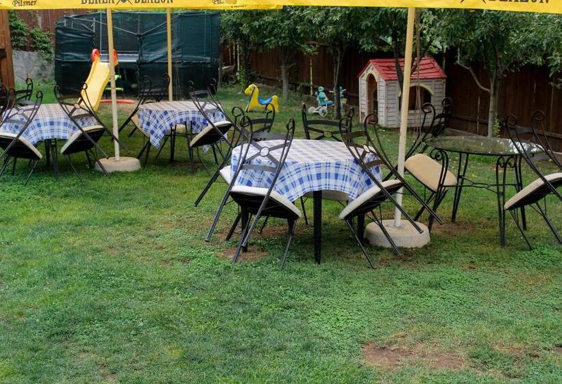 هتل Pensiunea Taverna Bucium