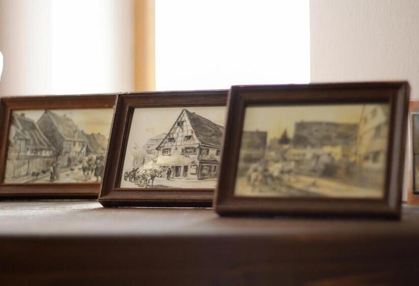 هتل Pensiunea Taverna Bucium