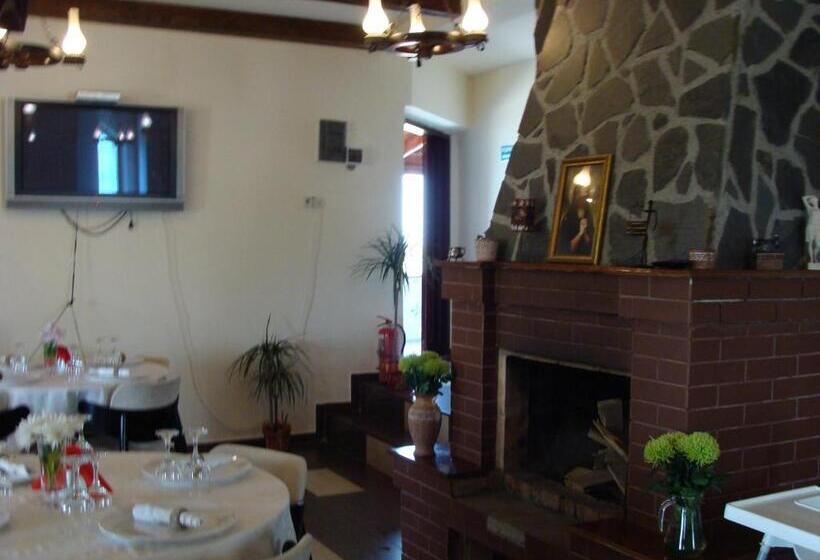 هتل Pensiunea Taverna Bucium