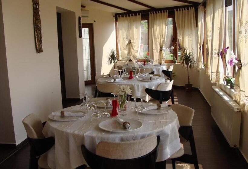 هتل Pensiunea Taverna Bucium