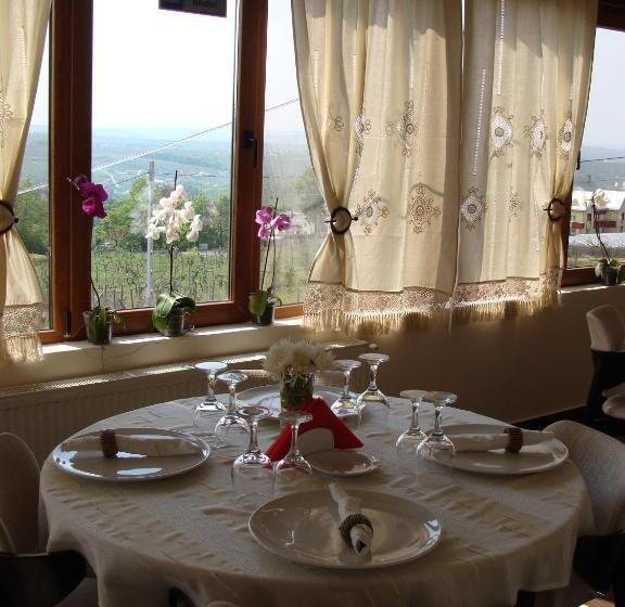 هتل Pensiunea Taverna Bucium