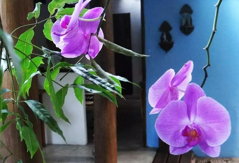 ペンション Canto Do Sabiá Caraíva