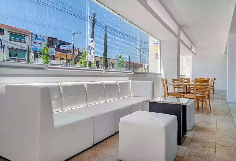 호텔 Comfort Inn Morelia