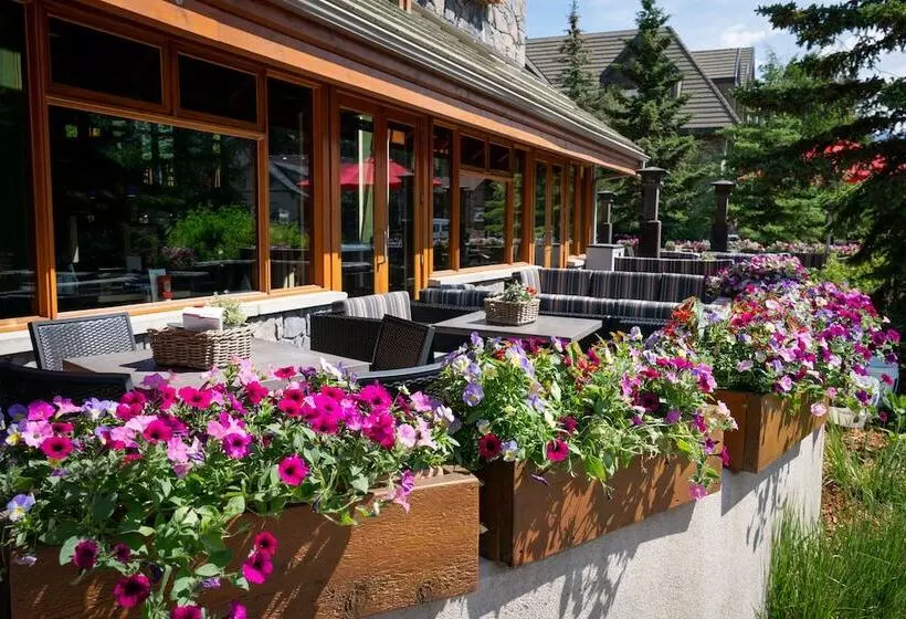 Fox Hotel And Suites