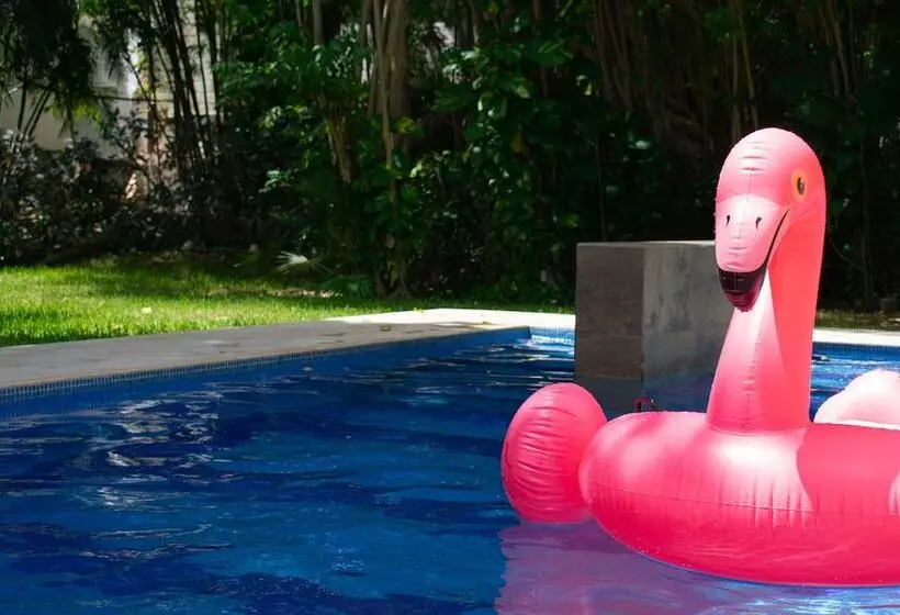 Nina Hotel Playa Del Carmen