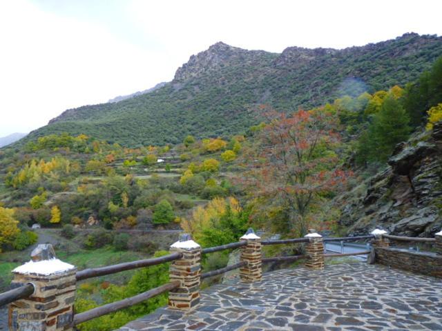 簡易ホテル Rural Pepe Alvarez