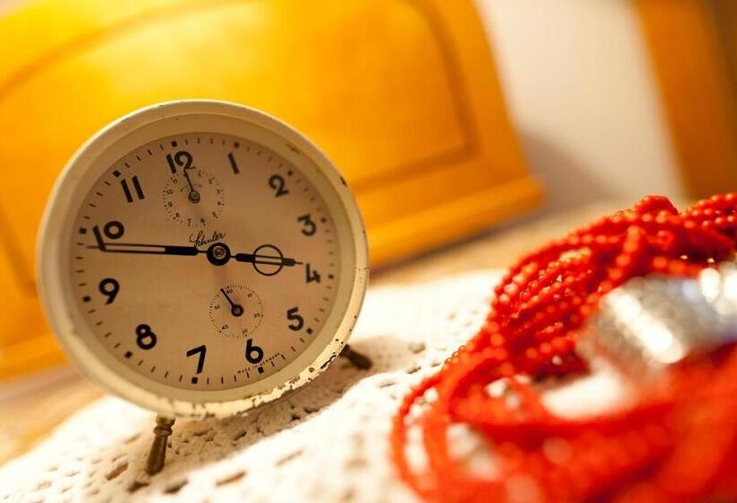 בית מלון כפרי Aster