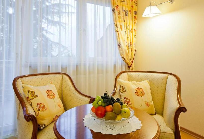 בית מלון כפרי Aster