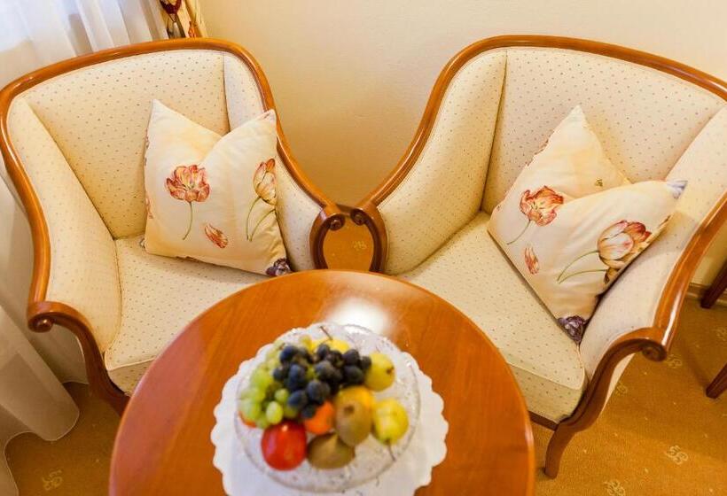 בית מלון כפרי Aster