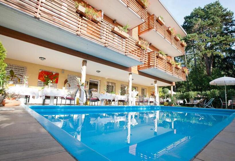 בית מלון כפרי Aster