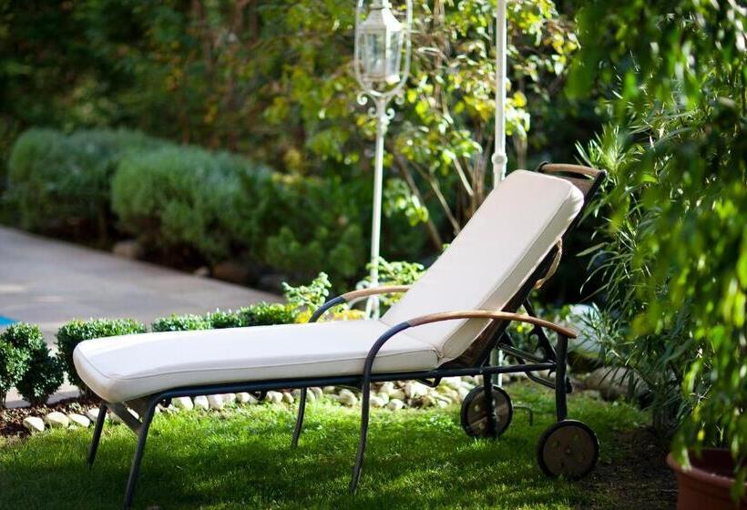 בית מלון כפרי Aster