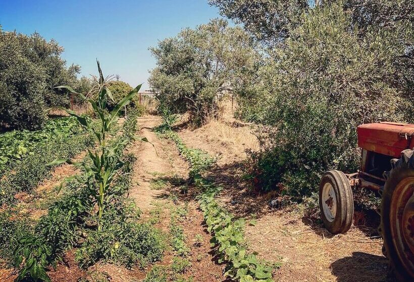 فندق Bare Hill Holiday Village