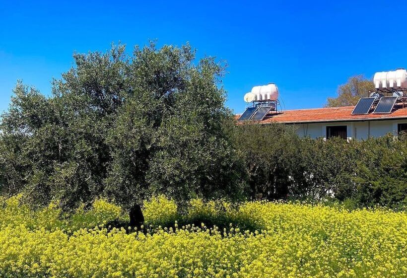 فندق Bare Hill Holiday Village