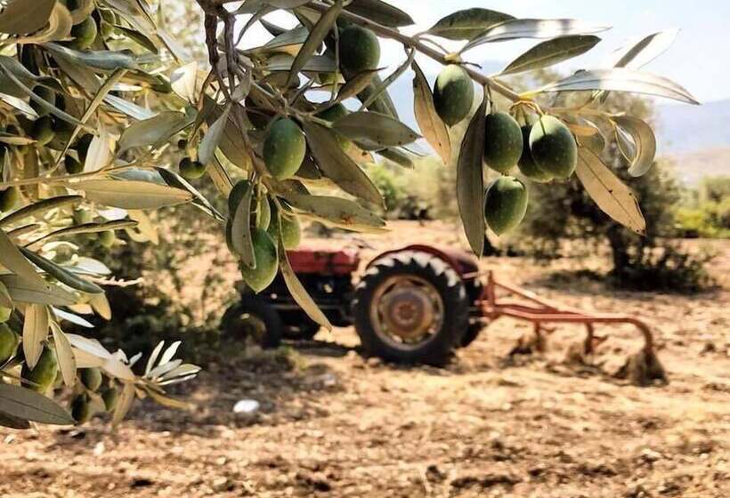 فندق Bare Hill Holiday Village