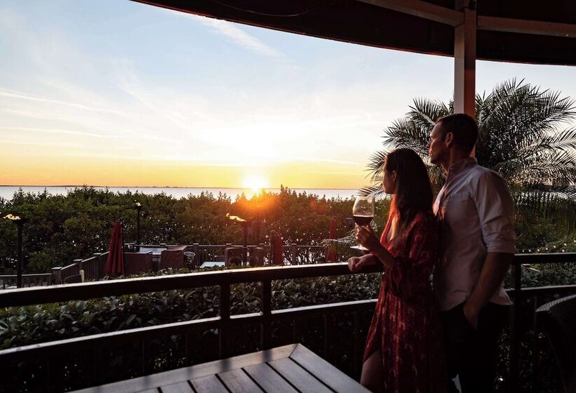 בית מלון כפרי Grand Hyatt Tampa Bay