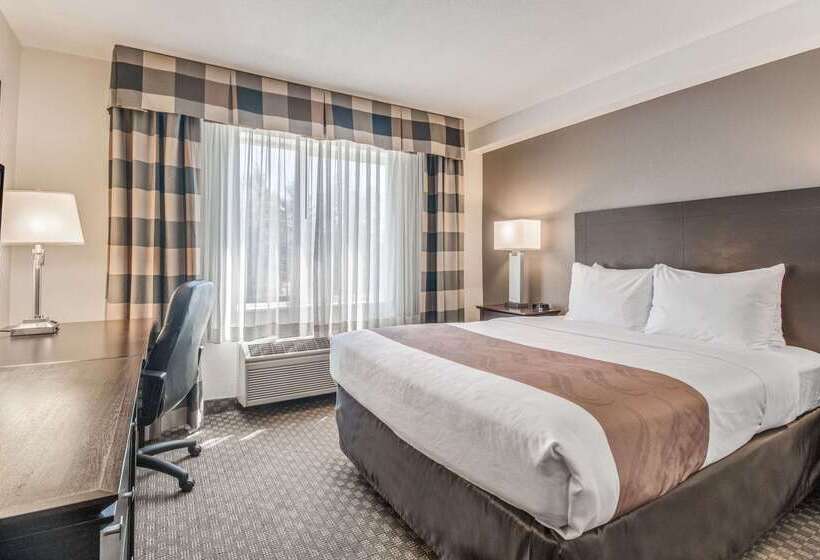 Hotel Quality Inn
